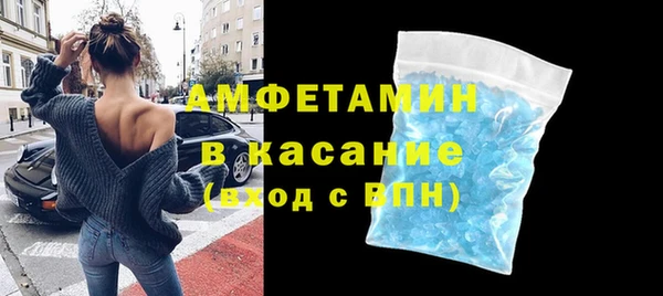 прущие грибы Аркадак