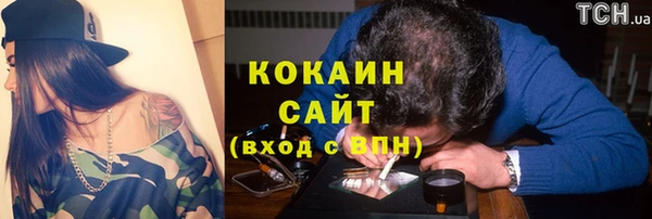 прущие грибы Аркадак