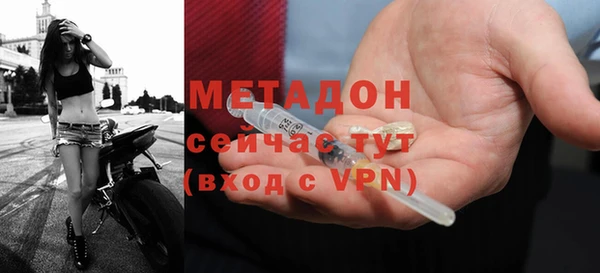 прущие грибы Аркадак