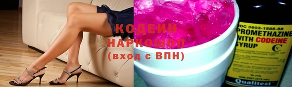 прущие грибы Аркадак