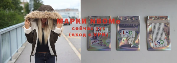прущие грибы Аркадак