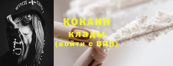 прущие грибы Аркадак