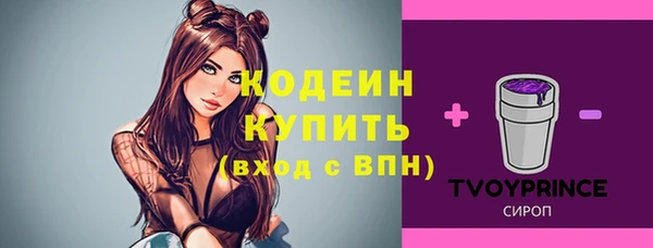 крисы Армянск