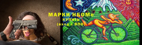 прущие грибы Аркадак
