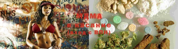 прущие грибы Аркадак