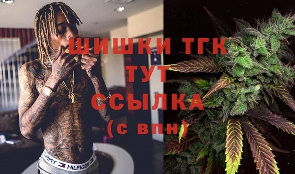 крисы Армянск